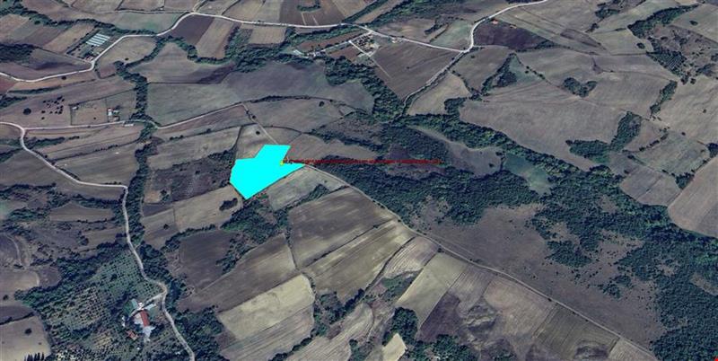 YALOVA İLİ ÇİFTLİKKÖY İLÇESİ KILIÇ  KÖYÜNDE KADASTROL YOLA CEPHE 11.545,55 M KARE TARLALAR
