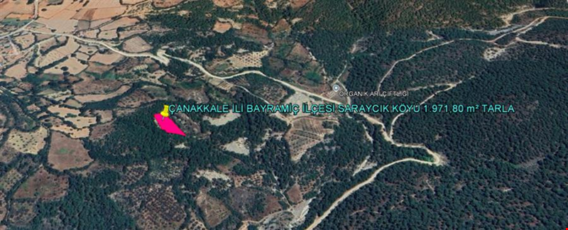 ÇANAKKALE İLİ BAYRAMİÇ İLÇESİ SARAYCIK KÖYÜ 1.971,80 m² TARLA