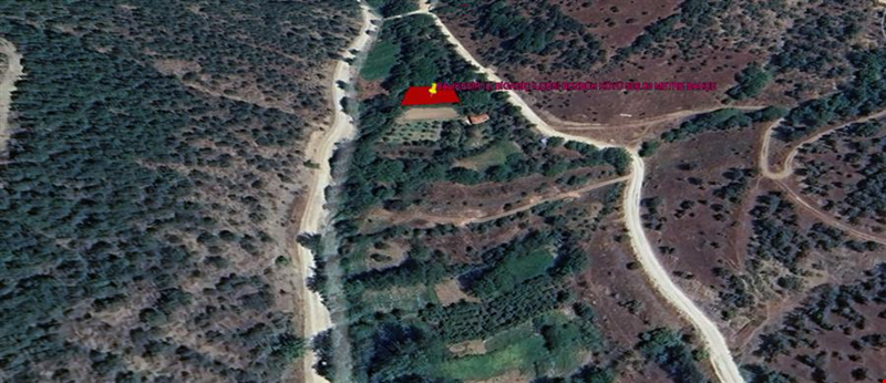 BALIKESİR İLİ BİGADİÇ İLÇESİ BOZBÜK KÖYÜ 506,03 m²  BAHÇE