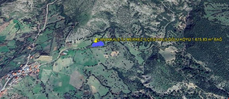 ÇANAKKALE İLİ MERKEZ İLÇESİ HALİLOĞLU KÖYÜ 1.675,83 m² BAĞ