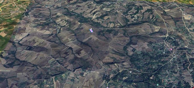YALOVA İLİ ÇİFTLİKKÖY İLÇESİ ÇUKURKÖY KÖYÜNDE 7.520 M KARE TARLA KADASTROL YOLA CEPHE
