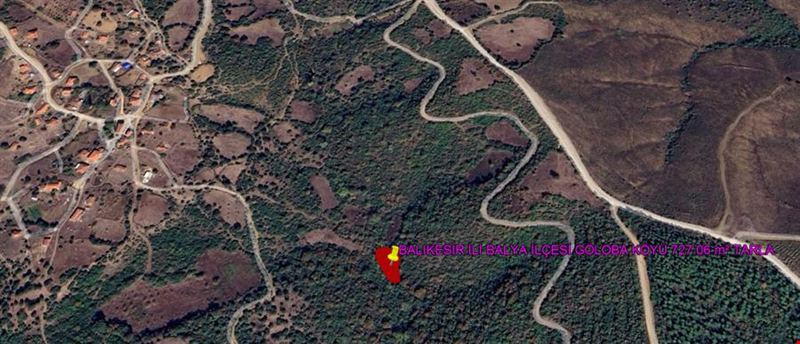 BALIKESİR İLİ BALYA İLÇESİ GÖLOBA KÖYÜ 727,06 m²  TARLA