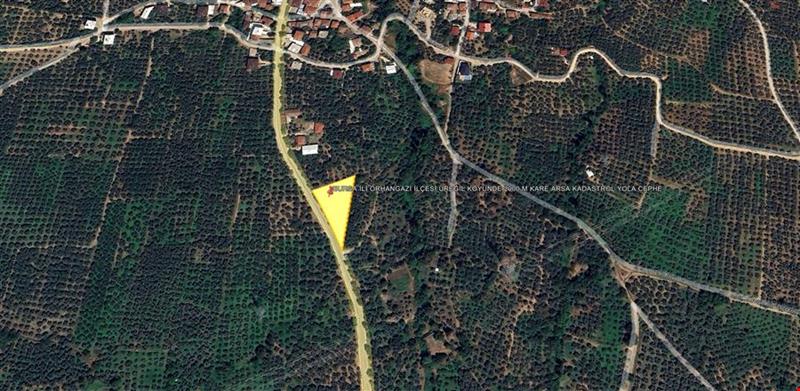 BURSA İLİ ORHANGAZİ İLÇESİ ÜREĞİL KÖYÜNDE 2000 M KARE TARLA KADASTROL YOLA CEPHE