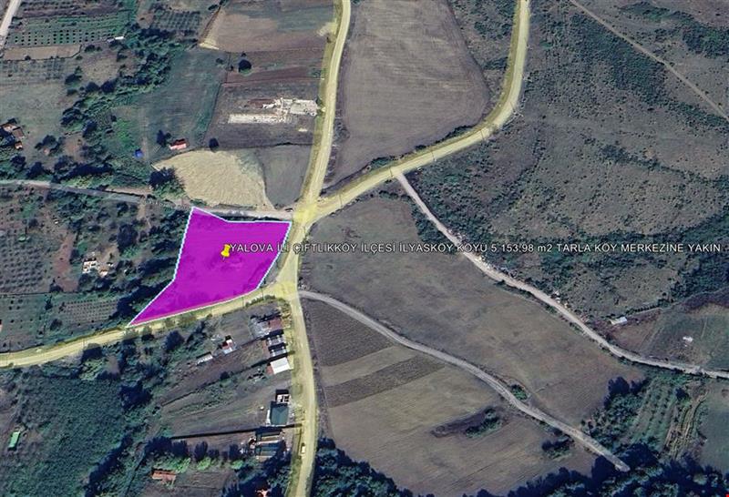 YALOVA İLİ ÇİFTLİKKÖY İLÇESİ İLYASKÖY KÖYÜ 5.153,98 m2 TARLA KÖY MERKEZİNE YAKIN
