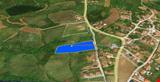 YALOVA İLİ ÇİFTLİKKÖY İLÇESİ DENİZÇALI KÖYÜNDE 6.446,67 M KARE ARSA