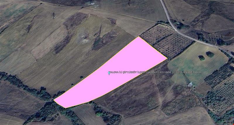 YALOVA İÇİ ÇİFTLİKKÖY İLÇESİ ÇUKURKÖY KÖYÜNDE 22.760,06 M KARE TARLA