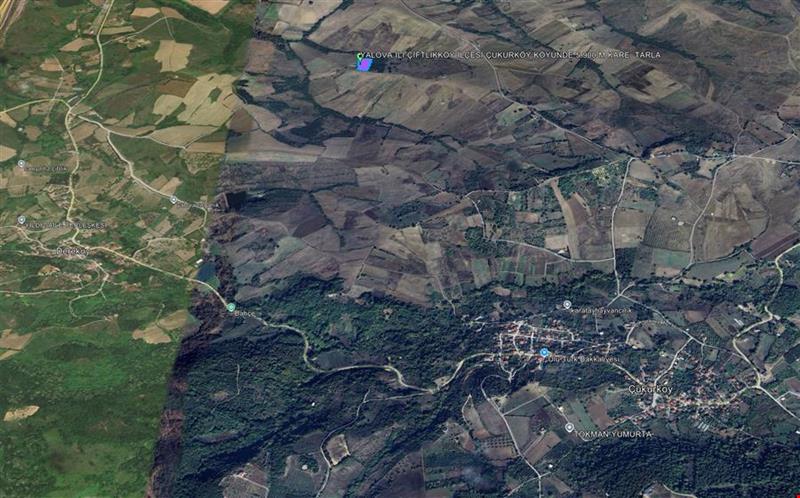 YALOVA İLİ ÇİFTLİKKÖY İLÇESİ ÇUKURKÖY KÖYÜNDE 5.900 M KARE  TARLA