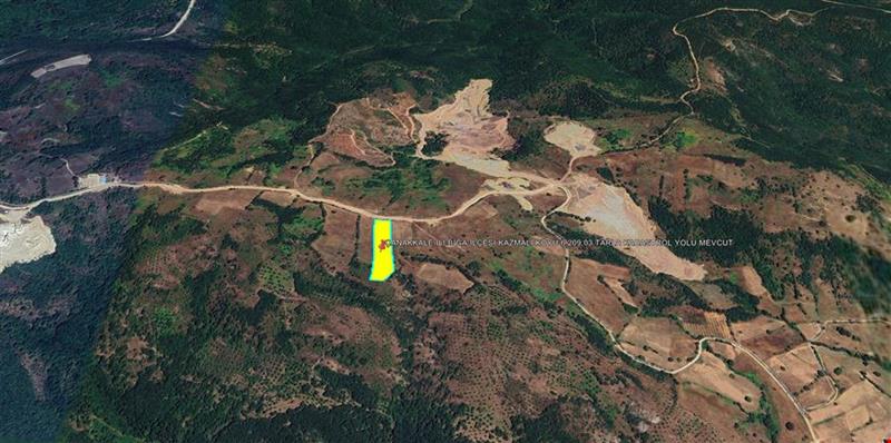 ÇANAKKALE İLİ BİGA İLÇESİ KAZMALI KÖYÜ 6.209,03 TARLA KADASTROL YOLU MEVCUT