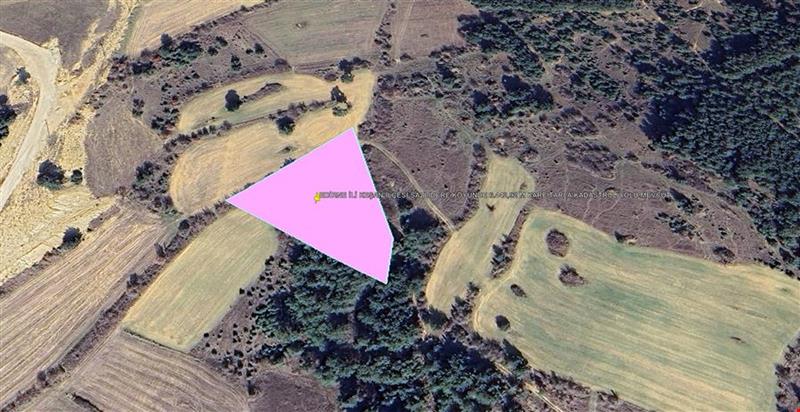 EDİRNE İLİ KEŞAN İLÇESİ SAZLIDERE KÖYÜNDE 6.442,92 M KARE TARLA KADASTROL YOLU MEVCUT
