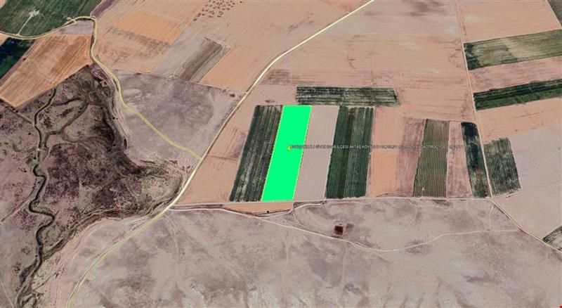 ESKİŞEHİR İLİ SİVRİHİSAR İLÇESİ AKTAŞ KÖYÜNDE 42.755,31 m² TARLA KADASTROL YOLU MEVCUT