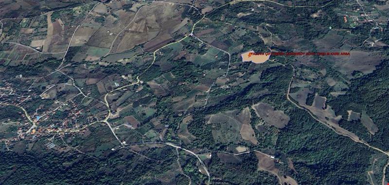 YALOVA İLİ ÇİFTLİKKÖY İLÇESİ ÇUKURKÖY KÖYÜNDE 13.460 M KARE  MEYVE BAHÇESİ