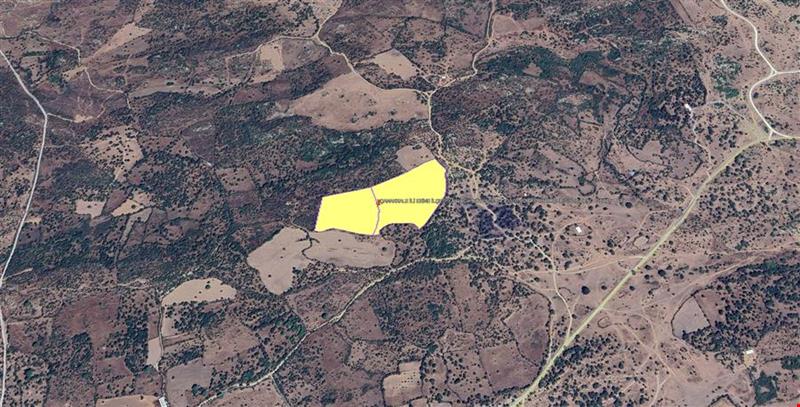 ÇANAKKALE İLİ EZİNE İLÇESİ YAYLACIK KÖYÜNDE 64.400,00 m² EKO İMAR İÇERİSİNDE DENİZ GÖREN TARLA