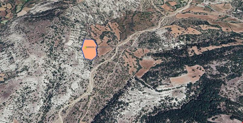 ANKARA İLİ BEYPAZARI İLÇESİ 15.986,25 M KARE ARSA KADASTROL YOLU MEVCUT