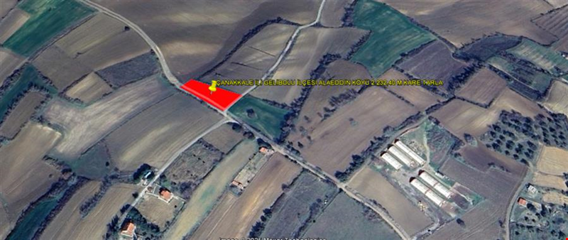ÇANAKKALE İLİ GELİBOLU İLÇESİ ALAEDDİN KÖYÜ 2.232,40 M KARE TARLA
