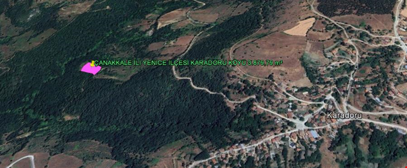 ÇANAKKALE İLİ YENİCE İLÇESİ KARADORU KÖYÜ 3.879,79 m² BAHÇE