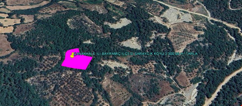 ÇANAKKALE İLİ BAYRAMİÇ İLÇESİ SARAYCIK KÖYÜ 3.300,00 m² TARLA