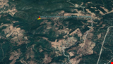 YENİCE DARIALAN DA 6.500 M KARE ORMANA CEPHE TARLA
