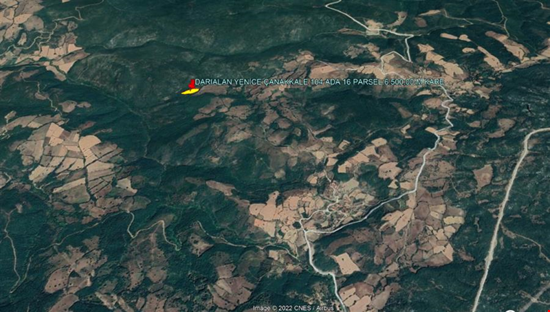 YENİCE DARIALAN DA 6.500 M KARE ORMANA CEPHE TARLA