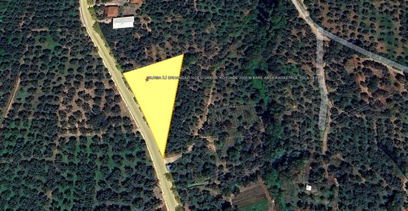 BURSA İLİ ORHANGAZİ İLÇESİ ÜREĞİL KÖYÜNDE 2000 M KARE TARLA KADASTROL YOLA CEPHE