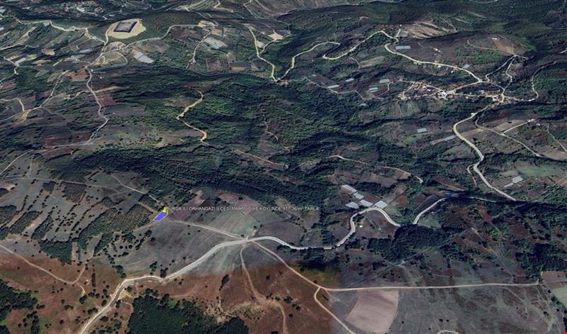 BURSA İLİ ORHANGAZİ İLÇESİ MAHMUDİYE KÖYÜNDE 977,36 m² TARLA