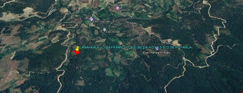 ÇANAKKALE İLİ BAYRAMİÇ İLÇESİ BEŞİK KÖYÜ 5.073,39 m² TARLA