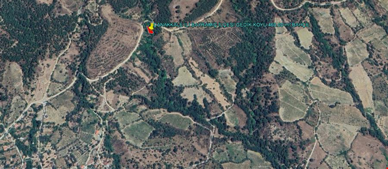 ÇANAkKALE İLİ BAYRAMİÇ İLÇESİ GEDİK KÖYÜ 460,00 m² BAHÇE