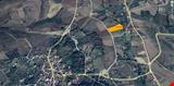 YALOVA İLİ ÇİFTLİKKÖY İLÇESİ İLYASKÖY KÖYÜ 7.734 M KARE TARLA KADASTROL YOLA CEPHE