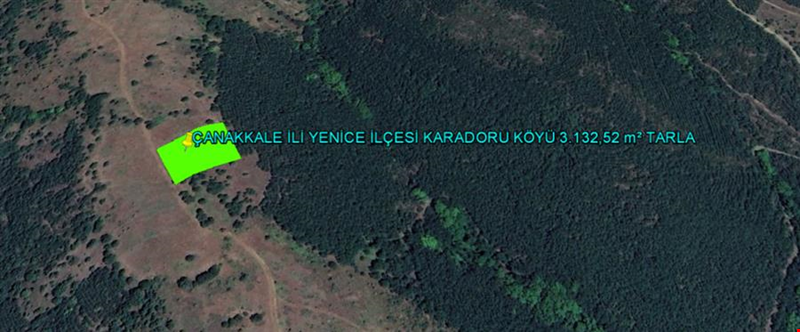 ÇANAKKALE İLİ YENİCE İLÇESİ KARADORU KÖYÜ 3.132,52 m² TARLA