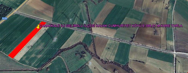 ÇANAKKALE İLİ GELİBOLU İLÇESİ KAVAK CUMHURİYET KÖYÜ 20.130,01 M KARE TARLA
