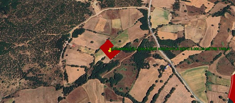 ÇANAKKALE PROVINCE ÇAN COCAYAYLA VILLAGE 5.000,00 m² LAND