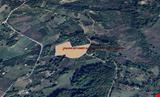 YALOVA İLİ ÇİFTLİKKÖY İLÇESİ ÇUKURKÖY KÖYÜNDE 13.460 M KARE  MEYVE BAHÇESİ