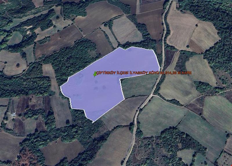YALOVA İLİ ÇİFTLİKKÖY İLÇESİ İLYASKÖY KÖYÜ  82.514,28 M KARE TARLA KADASTROL YOLA CEPHE