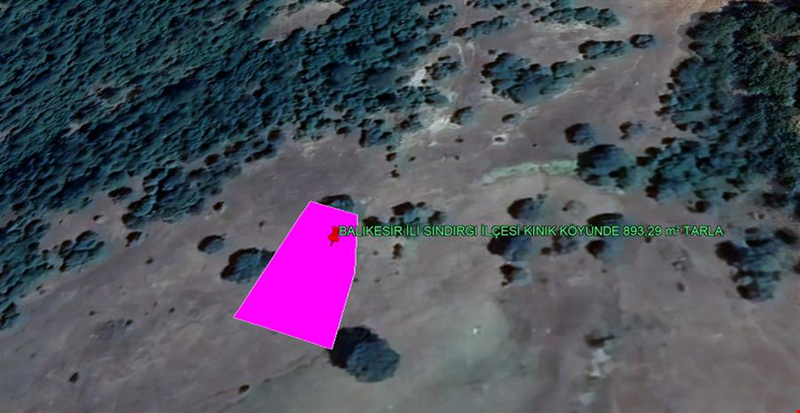 مقاطعة باليكسير مقاطعة سينديرجي قرية كينيك قرية كينيك 893,29 متر مربع أرض