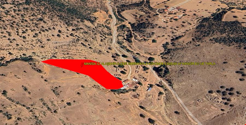 MANİSA İLİ ALAŞEHİR İLÇESİ SERİNYAYLA KÖYÜNDE 5.629,66  m² KANGİR EV VE TARLA