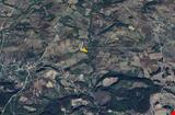 YALOVA İLİ ÇİFTLİKKÖY İLÇESİ FEVZİYE KÖYÜ 5.928,89 m2 TARLA  KÖY MERKEZİNE YAKIN