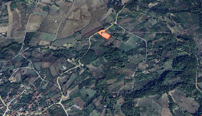 YALOVA İLİ ÇİFTLİKKÖY İLÇESİ ÇUKURKÖY KÖYÜNDE 5.720 M KARE  BAHÇE