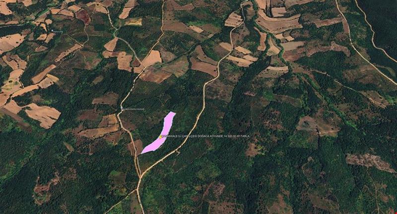 ÇANAKKALE İLİ ÇAN İLÇESİ DOĞACA KÖYÜNDE 14.500,00 m² TARLA